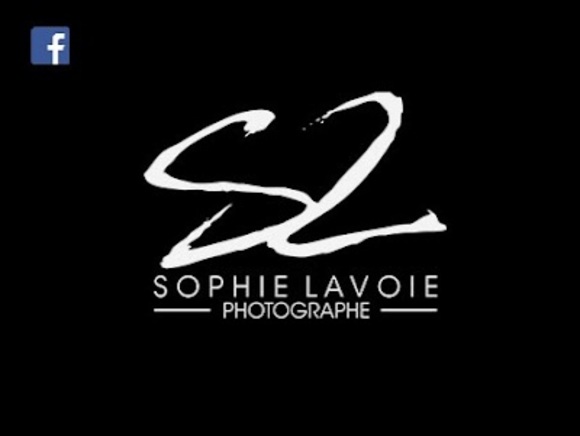 Meet your Posher, Sophie - Picture 1 of 1